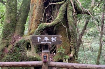 ちゃららんちゃららんちゃららららららん...