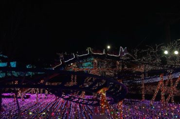 .
一面綺麗過ぎて、どこ見ていいか分からなかった笑
.
#イルミネーション #よみうりランド #よみうりランドジュエルミネーション...