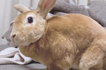 26歳になりましたー！
え、うそあっという間。
これが噂に聞く
「20代はやいよー
直ぐ30になっちゃうから！」
ってやつかなぁ
26歳も悩むことあるだろうけ...