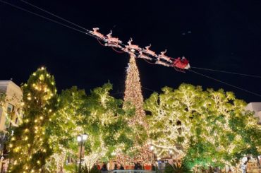 _

#christmaseve
#christmas 
#LA
#losangeles 
海外のクリスマスって全部可愛くて綺麗...