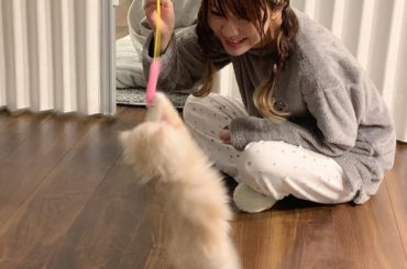 .
シンバとたわむれ中の写真
私はユニクロのパジャマ着用してます*°♡
これあったかい(//ω//)
※写真2枚あります
・‥…━━━☞・‥…━━━☞
#今日の...
