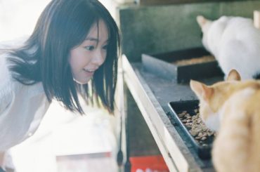 決して猫ちゃんの餌は狙っていません。
고양이 먹이는 노리고 있지 않습니다.ㅋㅋ...