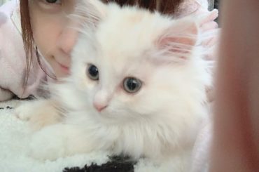 .
シンバと2人で お留守番
かわいーなぁ。
毎日かわいー。笑
・‥…━━━☞・‥…━━━☞
#今日のシンバ #シンバ #猫 #ねこ #ネコ #れーなとシンバ ...