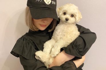 nekomotionさんが新作のあめちゃんを作ってくれましたー！テクノ歌謡かわいい...