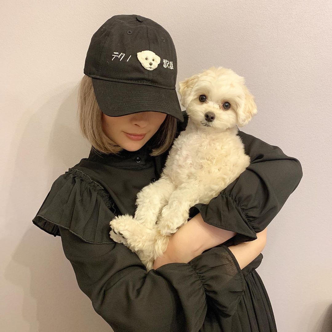 きゃりーぱみゅぱみゅ Nekomotionさんが新作のあめちゃんを作ってくれましたー テクノ歌謡かわいい Moe Zine