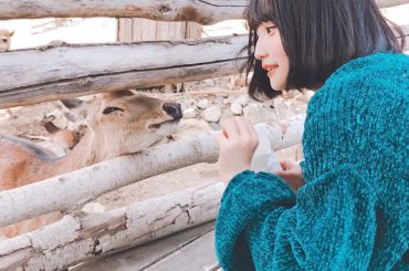 どうぶつえん
.
.
.
.
.
#動物園 #鹿 #AKB48 #instagood ...