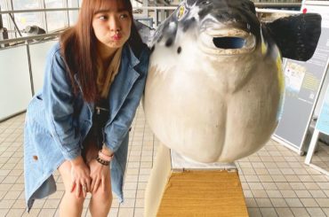 ・..｡o○☼
人生で初フグでした。
.
#RURU
#ふぐ刺し #ふぐ #唐戸市場 #海鮮 
#朝活 #山口県 #下関 #グルメ #ふぐ料理 
#美味しかった...