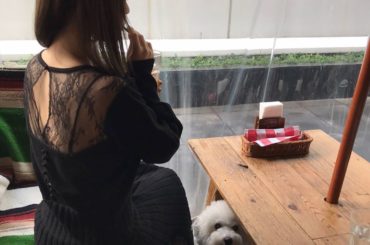 イッヌお一緒に行けるカフェに行った時の写真

背中がかわいいニットワンピはherliptoの
裾のところもサイドがレースになっててかわいい

隣でハナマサがべし...