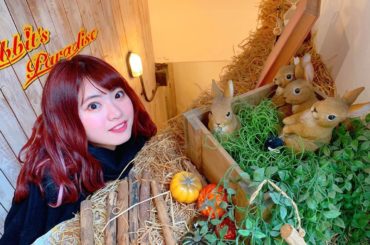 #うさぎ #うさぎカフェ #
.
この間
友達ができました
30分だけでしたが
に私の心を射止めて
キュンキュンしていた幸せすぎました
.
と一緒に暮らしたい...