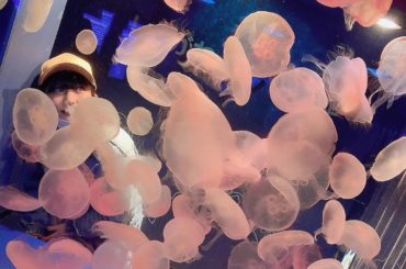 プライベートで念願の水族館
#念願　
#品川水族館　
#くらげ #いるかショー  #
#綺麗 # #jellyfish #dolphin 
#private #...