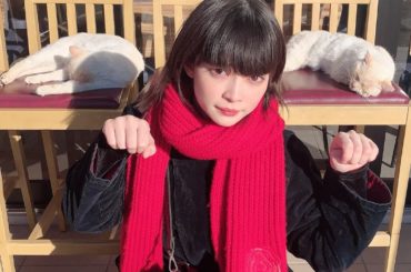 .
ねこ、まぶしい、...