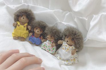 ・
・
・
たからもの
・
・
#シルバニアファミリー #シルバニア #ハリネズミファミリー #ハリネズミ...