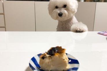 #ほんとは教えたくないお気に入り　vol.2
blancaのチーズケーキ

かつてこんなにパッケージのかわいいチーズケーキがあっただろうか、、、 かわいい箱を開...