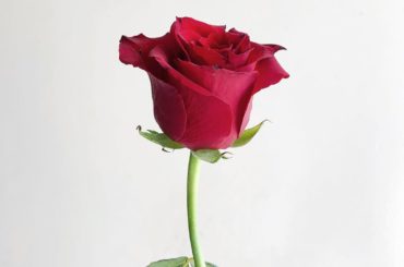 恋愛ドラマな恋がしたい~Bang Ban Love~
AbemaTVにて今夜１１時〜第５話放送です
#ドラ恋 @dorakoi_abematv_official...