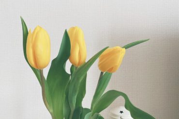 お休みの日は、お部屋で過ごすことが多くなったので、元気な黄色にしてみました
早く普通の日常に戻りますように。。
・
・
#goodmorning #チューリップ...