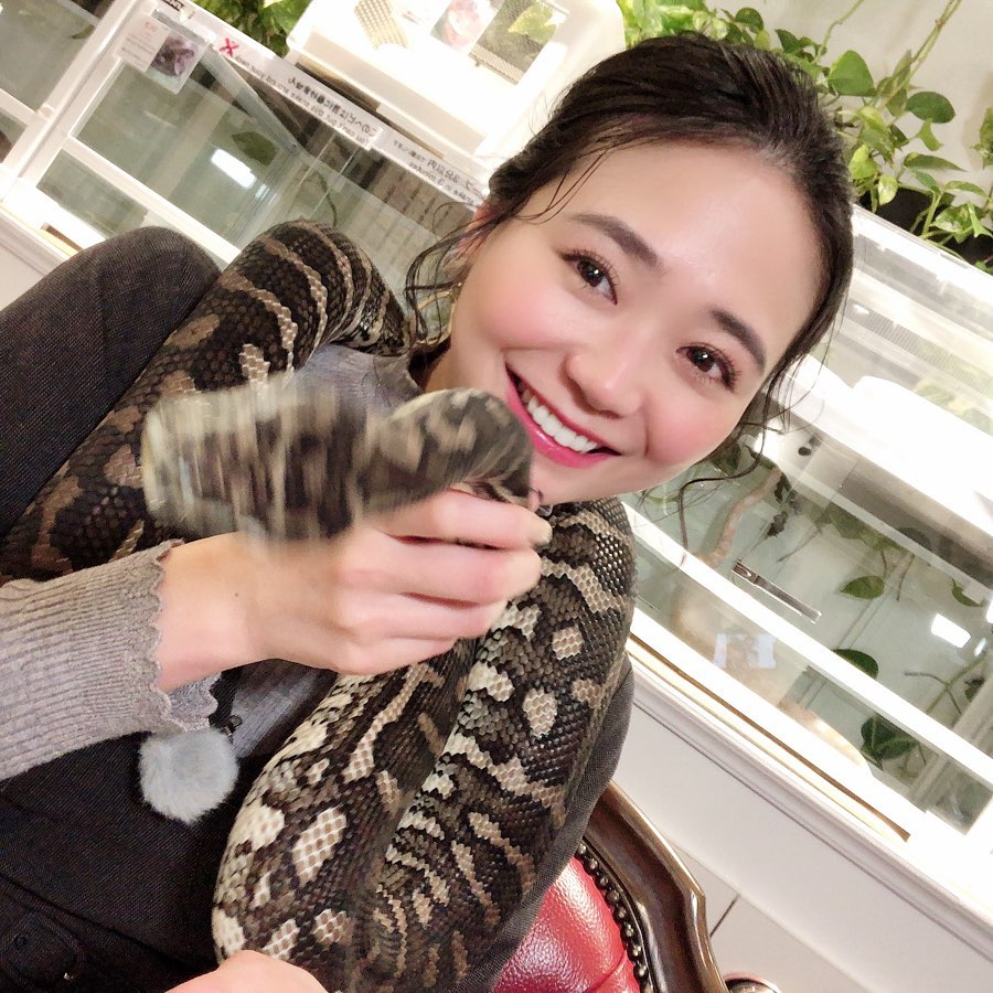 緑川静香 ジャングルカーペットパイソンのパンサーくん と リコリスラットスネークのリコちゃん ほぼナレーションで流れてしまいましたが ここの 東京スネ Moe Zine 緑川静香 ジャングルカーペットパイソンのパンサーくん と リコリスラットスネークのリコちゃん ほぼナレーションで流れてしまいましたが ここの 東京スネ Moe Zine