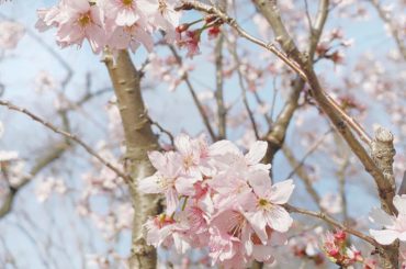 新チャンネル開設しました。
.
.
メインチャンネルの動画でもお話ししましたが、皆と一緒に自分を磨いていく為に新チャンネルを開設しました。
昔の写真を眺めるとそ...