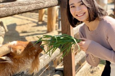 群馬サファリパークでNACK5の生中継でした♪﻿
たくさんの動物達と戯れて来ましたよ﻿
﻿
そして、放送でも着ていたこのワンピースの質問も多かったのでお答えしま...