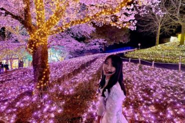 桜とイルミネーション
本当に綺麗でした。
また行きたい場所です！

#さがみ湖プレジャーフォレスト #CDTVライブライブ #AKB48...