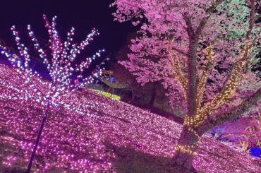 #イルミネーション
#さがみ湖リゾートプレジャーフォレスト...