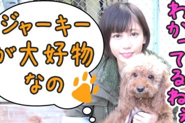 【自由】犬の散歩にママと行ったら私に似てコミュ障発揮しまくってた；；【ゆきりぬ】