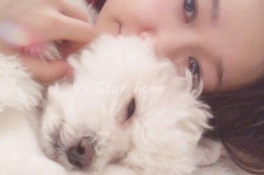 毎日愛犬と寝て、起きたらスーハーして今日もいい香りだなあ〜って
幸せに浸っているけど、
今は、今日も鼻が機能してる！よし！
って自分の健康管理も兼ねるようになっ...