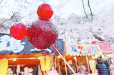 ﻿
﻿
﻿
お祭りで必ず２本は食べるりんご飴～っ！﻿
﻿
去年の今頃、地元で桜を見に行った時に屋台が沢山あって可愛いりんご飴をゲットした時の〜﻿
﻿
﻿
今年は...