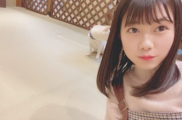 最後の写真は逃げられちゃった(；＿；)...