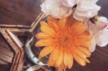 今週はピンクときいろがとどいた
暖かくなってきたので
透明のピクルスの瓶に
@bloomeelife のお花便で
おうちの中の時間にも変化を
ポストに届いてる...