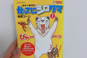 1日1冊漫画紹介
・
・
今日ご紹介するのは
「かってにシロクマ」です
・
主人公のシロは、一言で表すとマヌケな熊です。しっかり者の双子の弟・大ちゃんと、厳しく...
