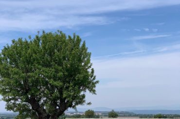 昨年の旅行 だんだん更新がまばらに、、、 すみません

やっぱりこまめな更新は向いてないのかも笑
夏休みもテストも、一夜漬けタイプなんですよー笑
見えないかもだ...