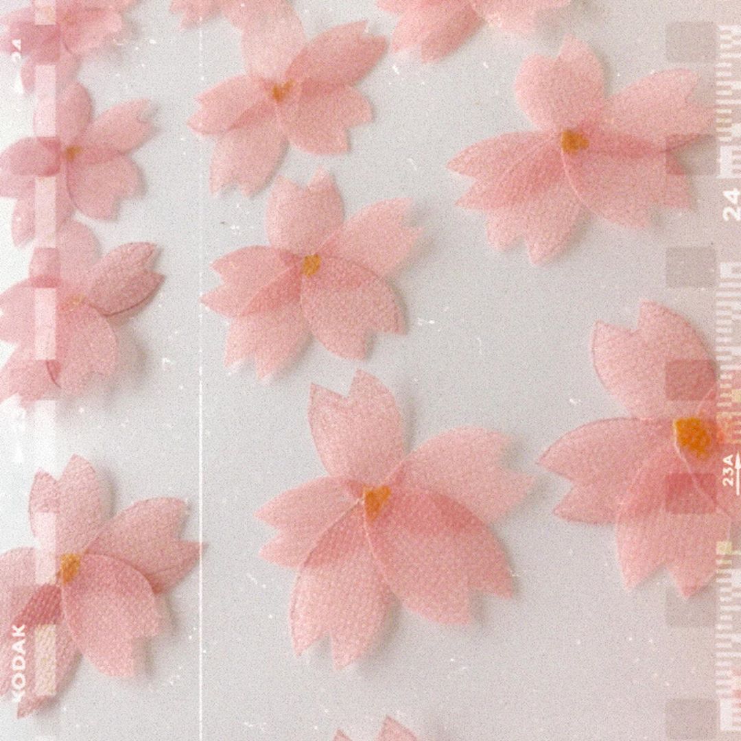 久保怜音 Ouc48 桜の花びらたち大作戦 たくさん桜の花びら作ってます 集まるとすっごくかわいい Ouc48 桜の花びらたち 桜 Moe Zine
