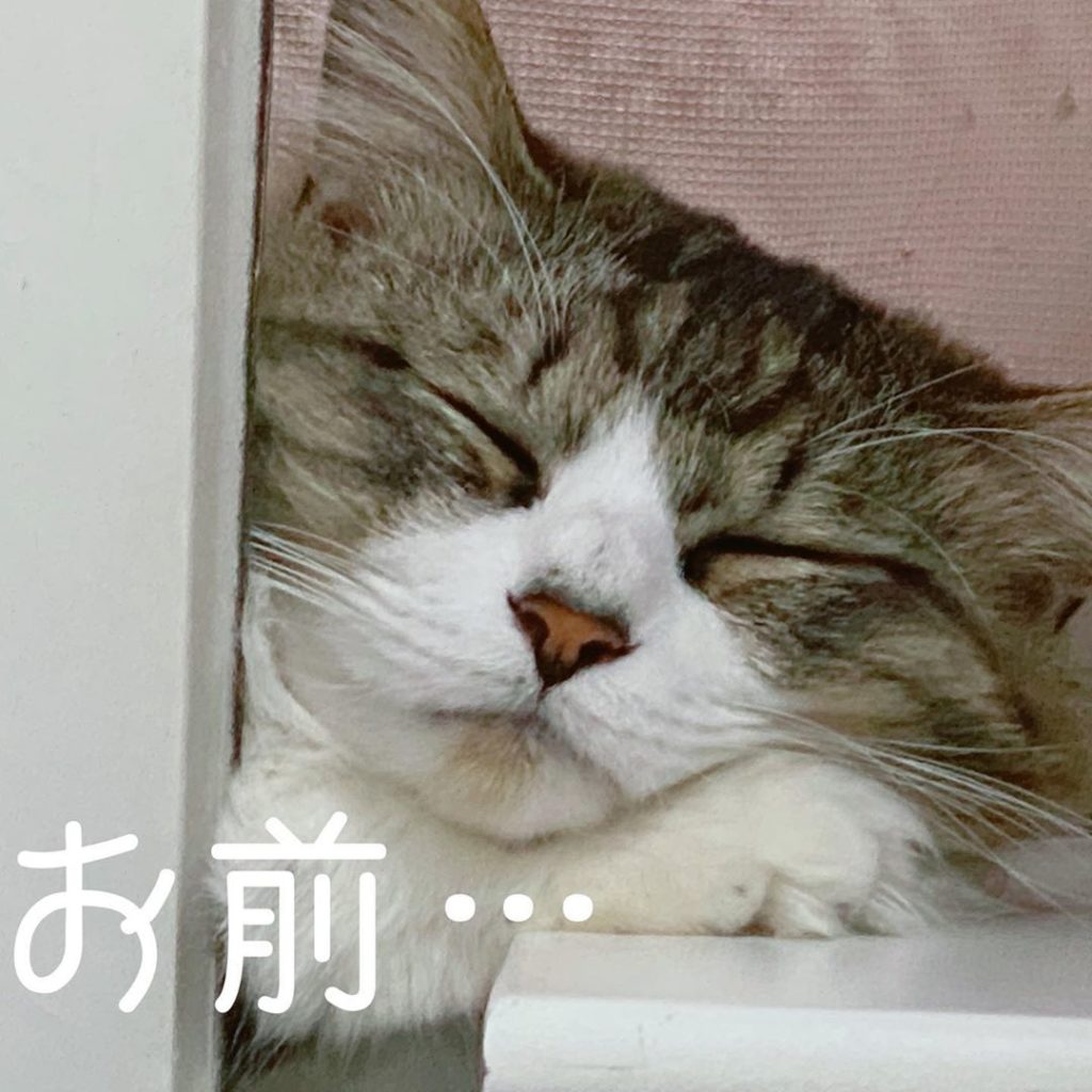 大喜利 Moe Zine 大喜利 Moe Zine