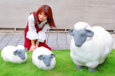 .
AKB48馬嘉伶-Macharin official
アイドルQ&A！秘密の暴露？！
.
皆さんお待たせしました
YouTubeチャンネルでの
2本目...