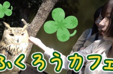 癒やされたい人集まれ。【ちゅにもえりぬ】