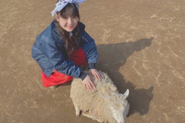 ゆめ牧場さんの羊さんと #ゆめ牧場 #ひつじ #可愛い #ニッカポッカ #きゃんでいー...