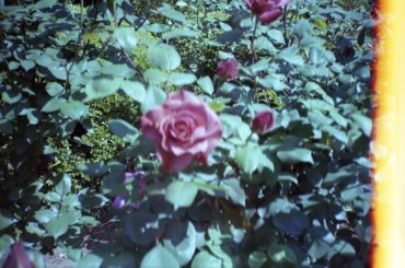 .
今日5月8日は、ある恩人の方に捧げたい。
まだまだでこんなんですみません。
頑張ります。
いつも想ってます。...