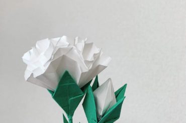 ありがとうの気持ちを込めて
折り紙でカーネーションをつくりました＾＾
大好きなママ、いつもありがとう！
#母の日 #happymothersday #mothe...