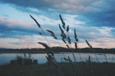 いつの日かの写真
早く元の生活に戻れるといいなぁ...