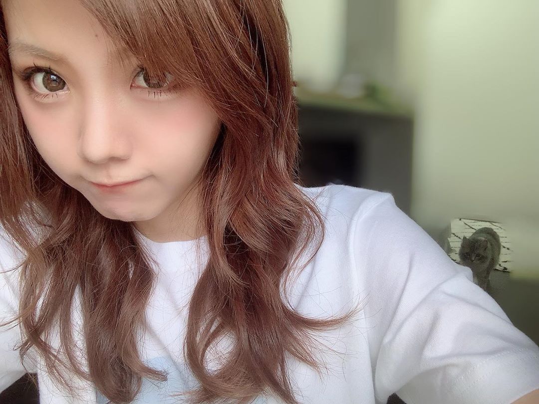 田中れいな 写真撮りよったら 近寄ってくるジャックが撮れた かわいいかわいい 愛しの ジャック 猫 Photo Ins Moe Zine