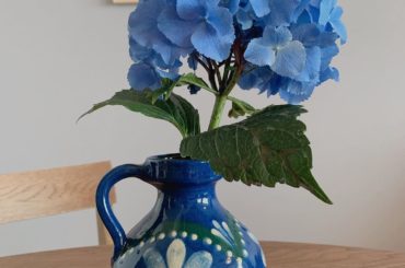 今日から梅雨入りしたね...