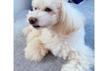 美人さん
#りぃちゃん...