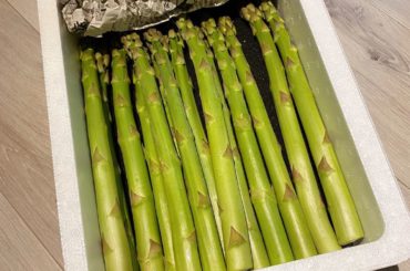 *
母が買って送ってくれた
山形のアスパラガス

こんなに大きいの初めて見た
美味しくていろいろ作ってたら
あっという間になくなりました。

#巨大#アス...