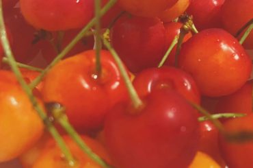 .
さくらんぼ。(ピント)
.
おいしかった〜♪
.
最近、さくらんぼがモチーフのアクセサリーや、好みのものが沢山ある#liquem さんのアクセサリーが欲し...