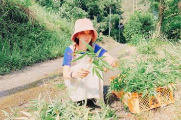 昨日は、新しく作るプロダクト用の植物の収穫を ﻿
﻿
この後に森田敦子先生 @atsuko1705 の研究室に送って、機能性成分を調べてサンプル作成に入...