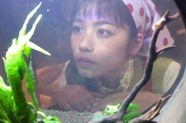 「美食探偵　明智五郎」
最後まで観てくださった皆様、本当にありがとうございました
楽しんで頂けましたか(｡・・｡)？？
色んな状況の中、最後まで皆様にお届け出来...