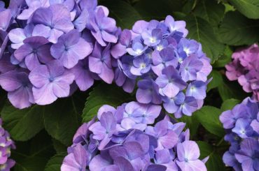 .
6月最終日！Hari terakhir Juni！...