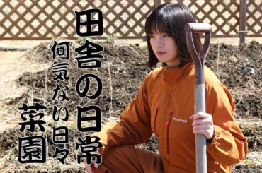 畑の準備開始。　フキノトウ・天ぷら・おにぎり