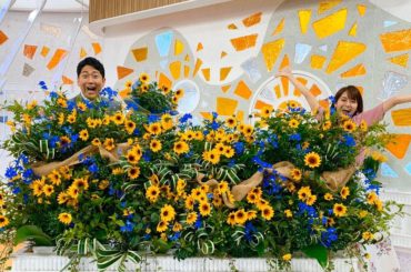 今週のお花プレゼントは
「サンビリーバブル」
先週のトルコギキョウは愛らしかったですが、
今回はとっても爽やか！
きちんと育てれば、
夏から霜...