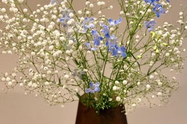 _﻿
﻿
﻿
﻿
カスミソウの日だそうです。

七夕だから優しいブルーのデルフィニウムも一緒に﻿

#カスミソウ
#デルフィニウム
#七夕
#花のある...